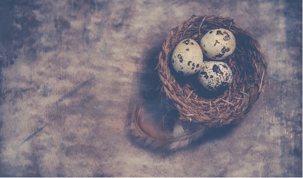 Plan Sponsors Can Help Social Security Early Birds Build Their Retirement Nest Egg