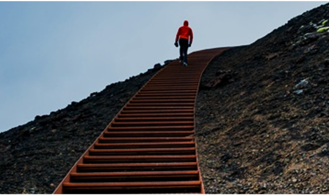 Participant Corner: Four Basic Steps for a Successful Retirement